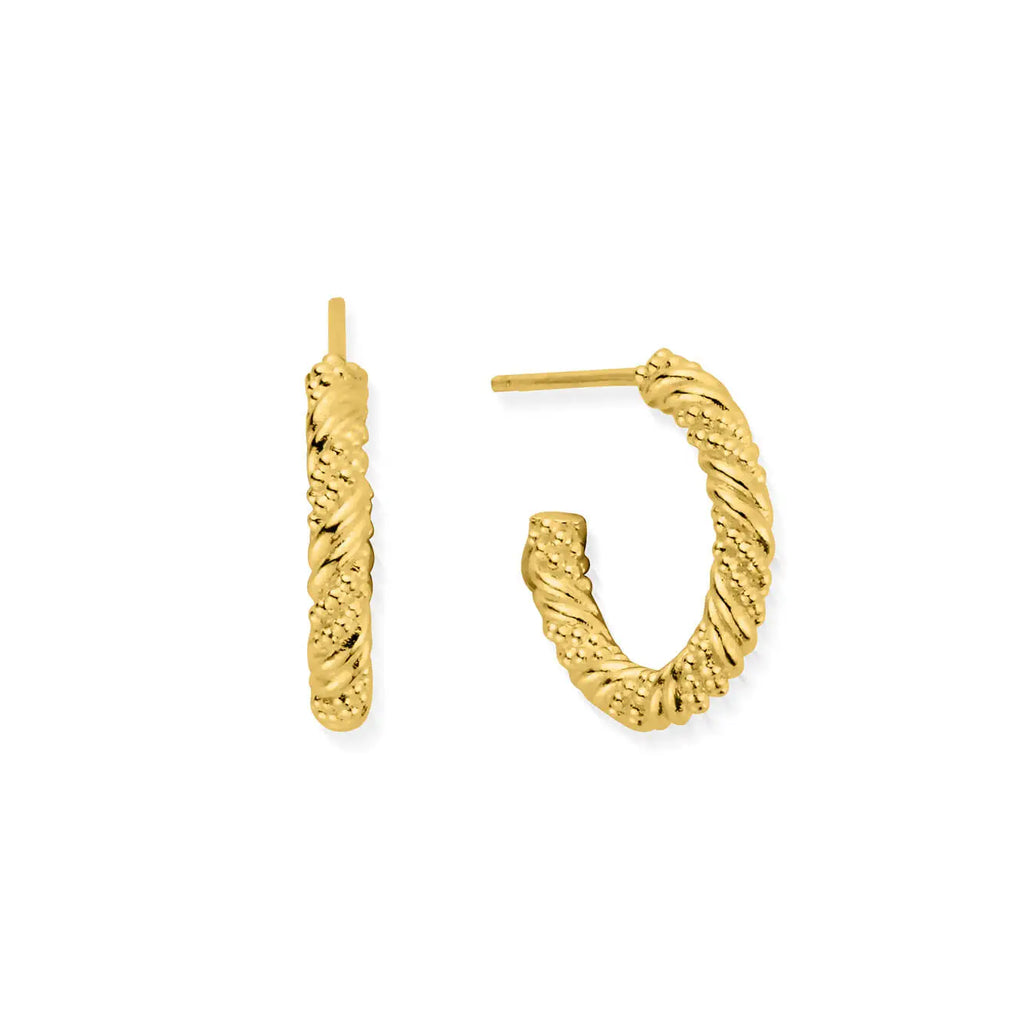 Entwined Passion Hoop Earrings